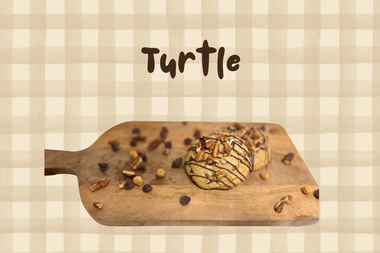 Photo of Turtle from Kugles' Bakery